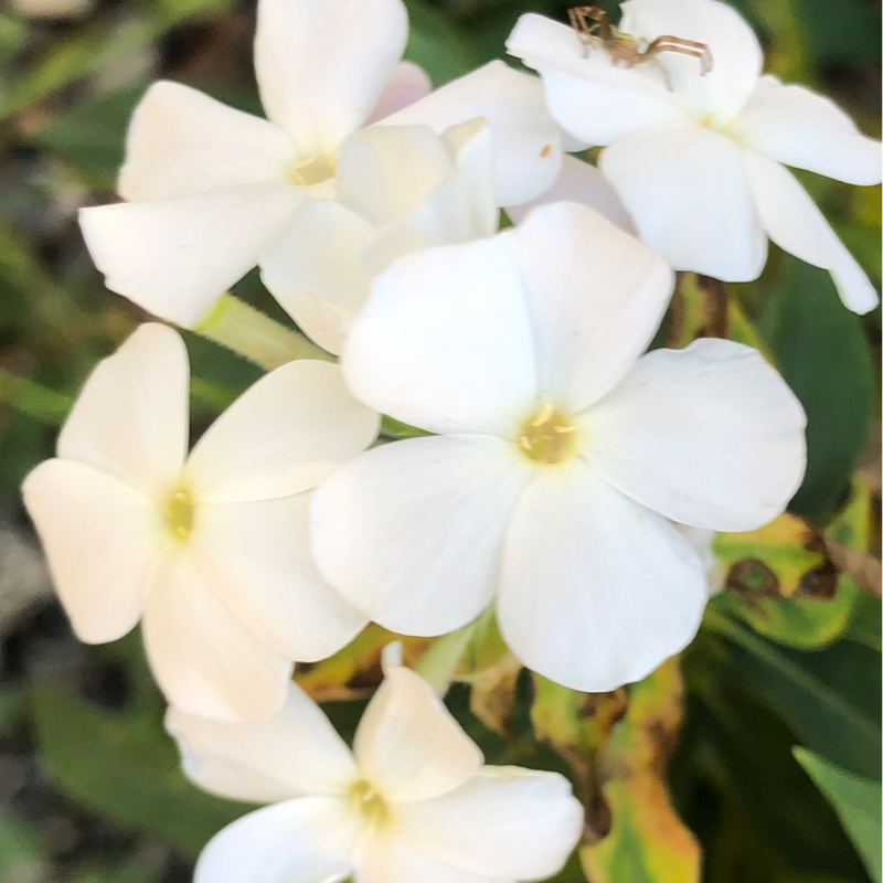 褒められない人