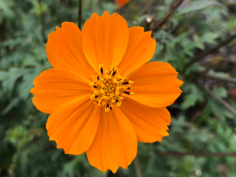 セルフイメージを知る