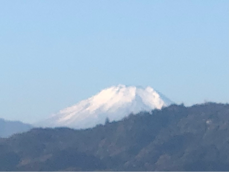 見ているドラマ