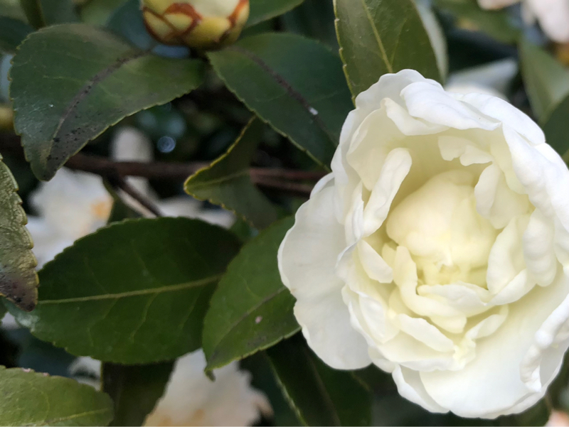 好きなことの見つけ方