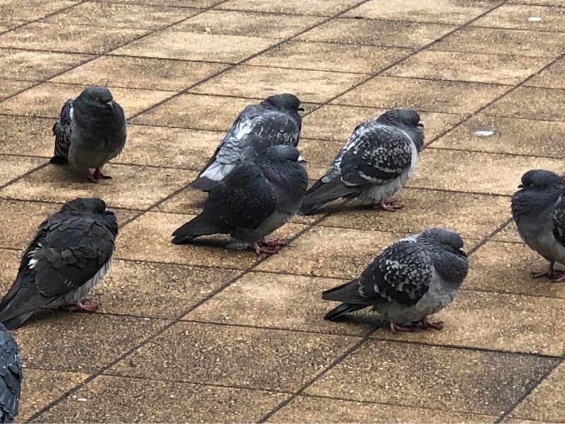 友達は少なくていい