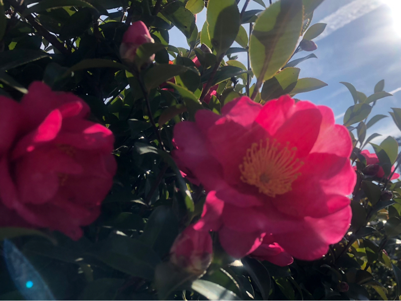 感情は正直に出そう