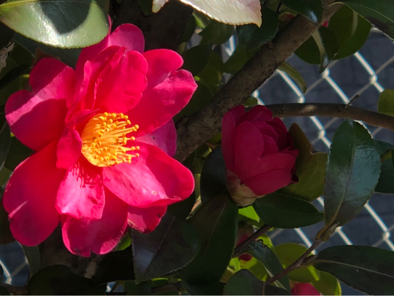 捨てられたことがある