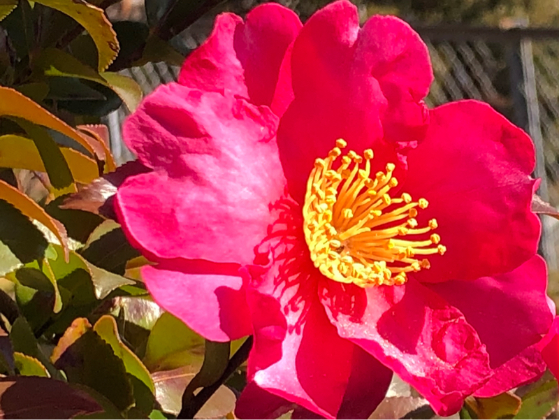 高層階の考え方