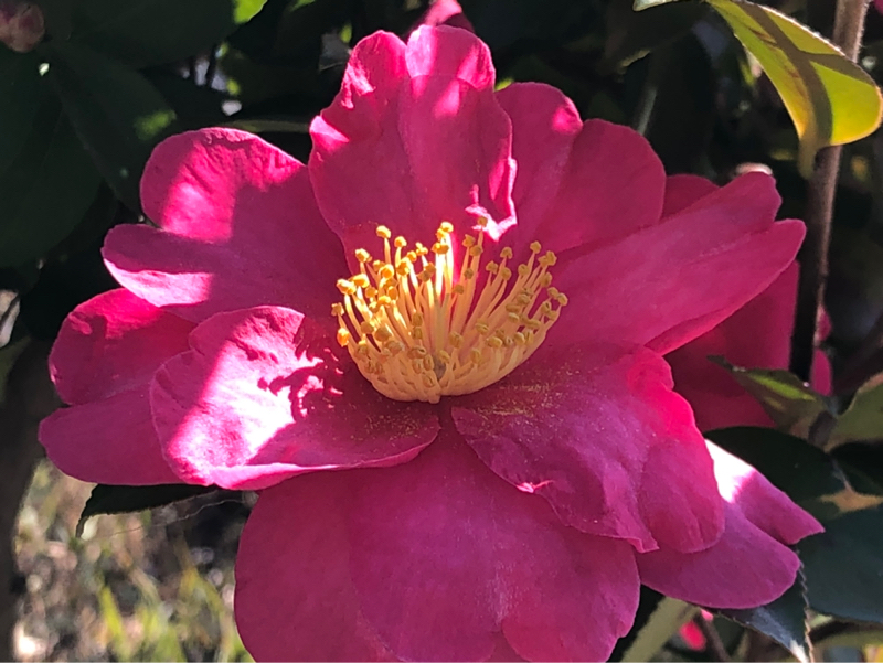 元に戻ってもいい