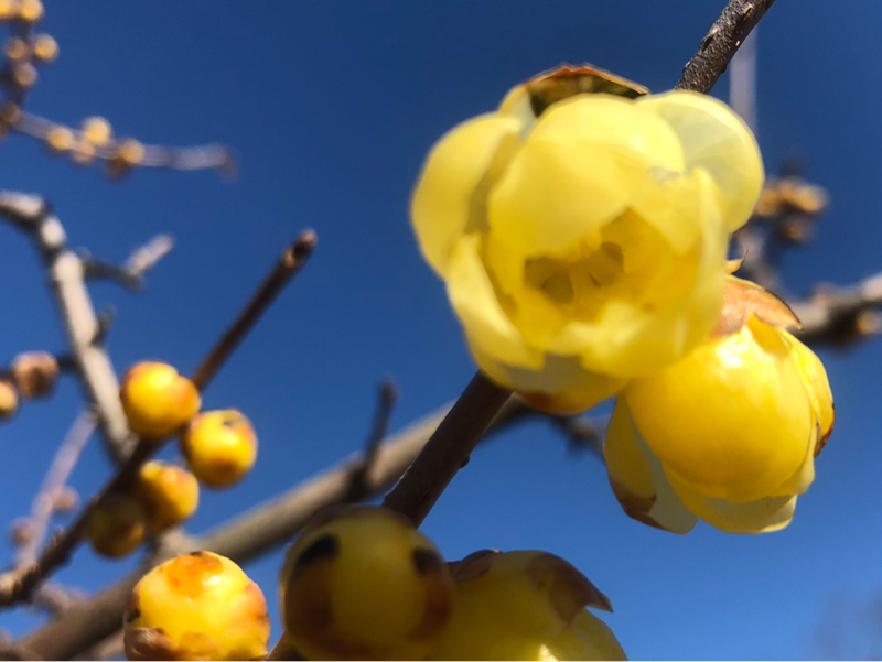 幸せを求めるから不幸になる