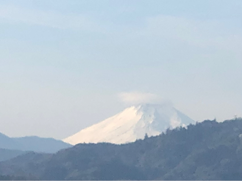 嫌いになりたくないから