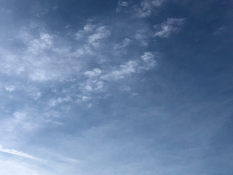 正解よりも「したい」をしよう！