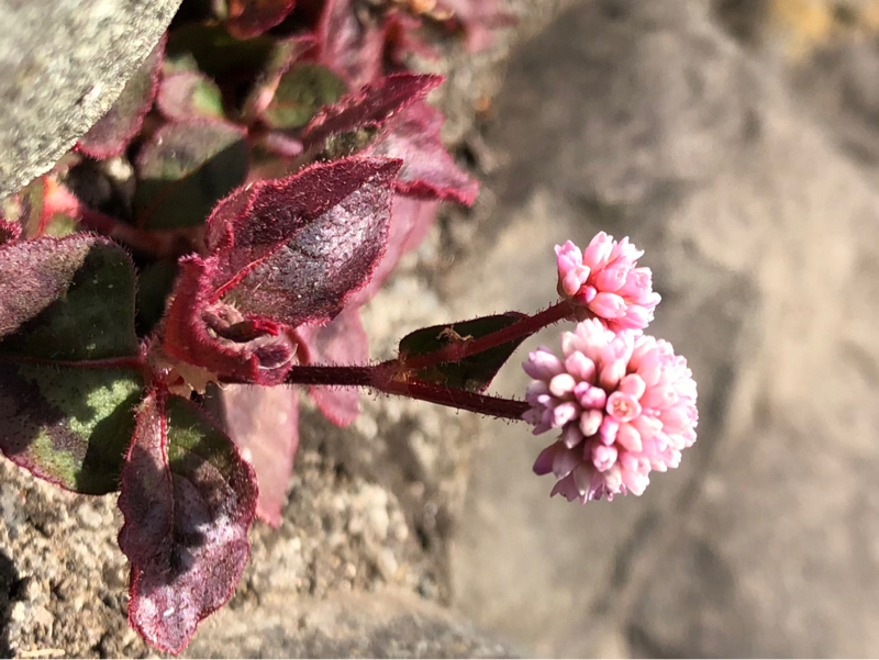 優しさで、できている