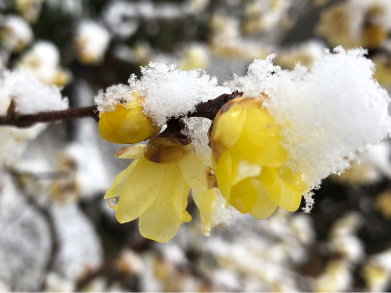 イライラしたとき