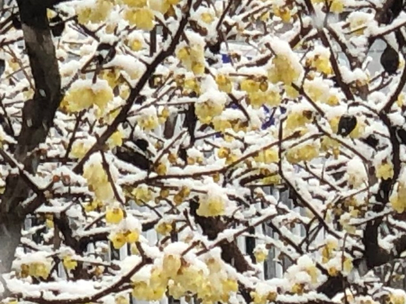 悪い人になろう