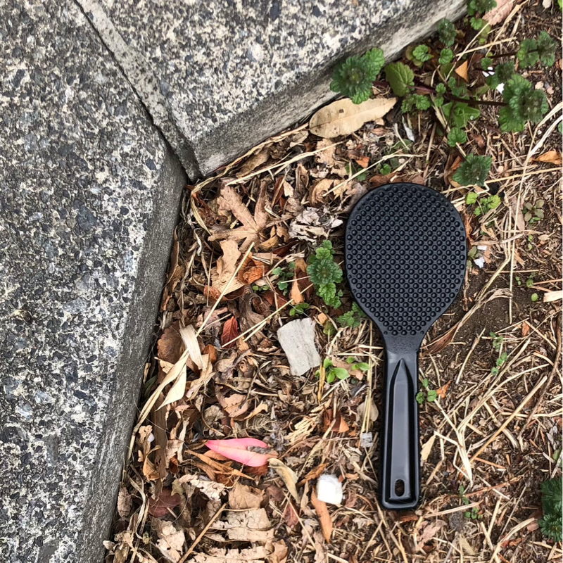 キャッチボール