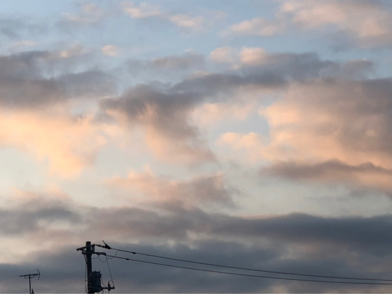 うまく愛せなかった