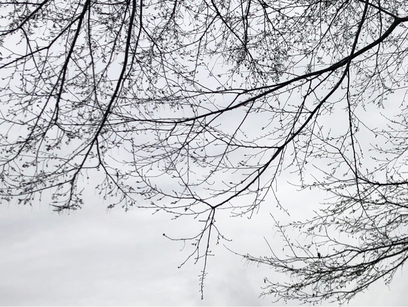 強くなれ！負けるな！