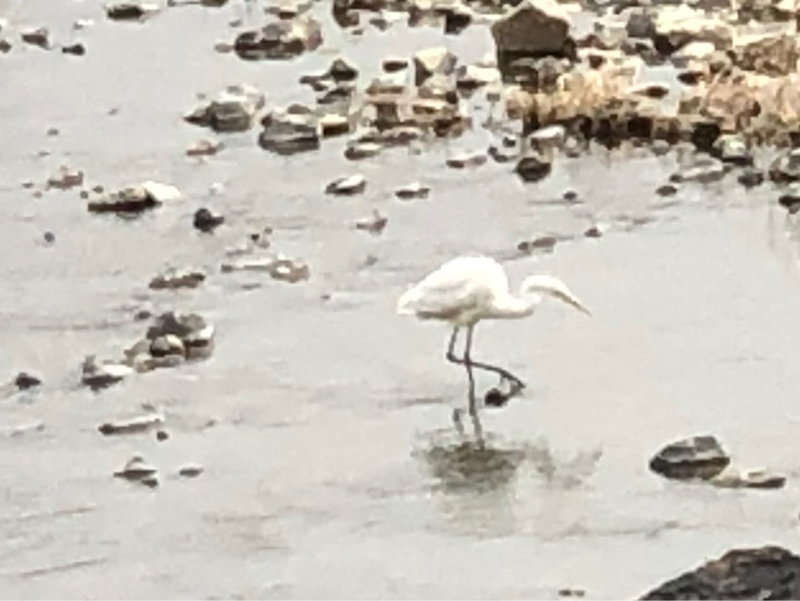 強くなろうとするのはなぜ？