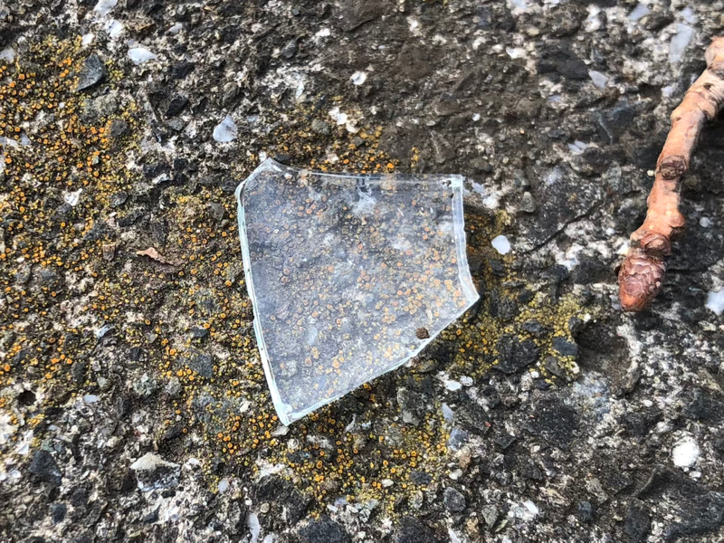 ぜんぶのみこめ