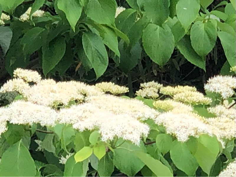 自分が嫌い