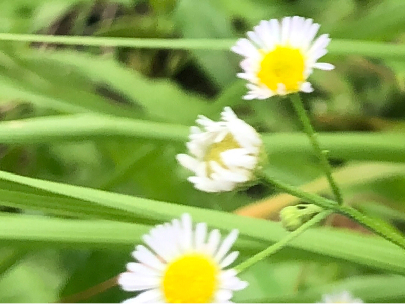 自分のことが嫌いでもいい