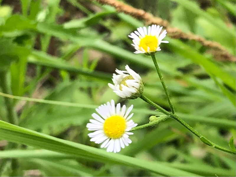 寄り添って欲しい