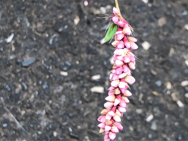 大切なこと