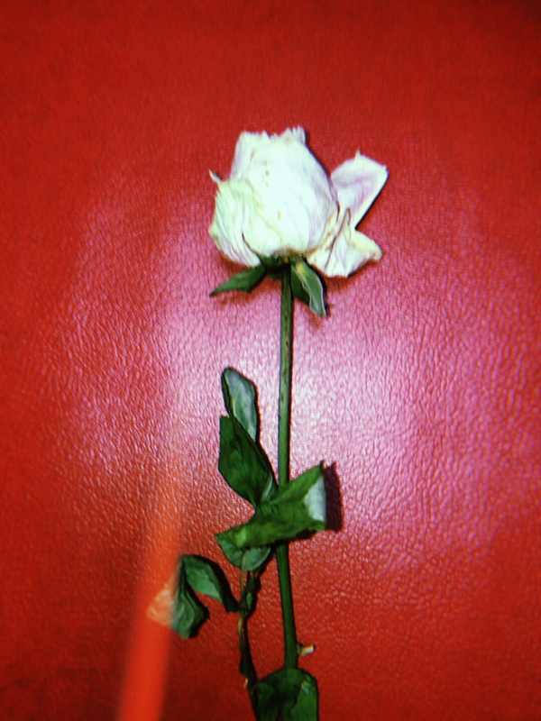 失恋で統合失調症