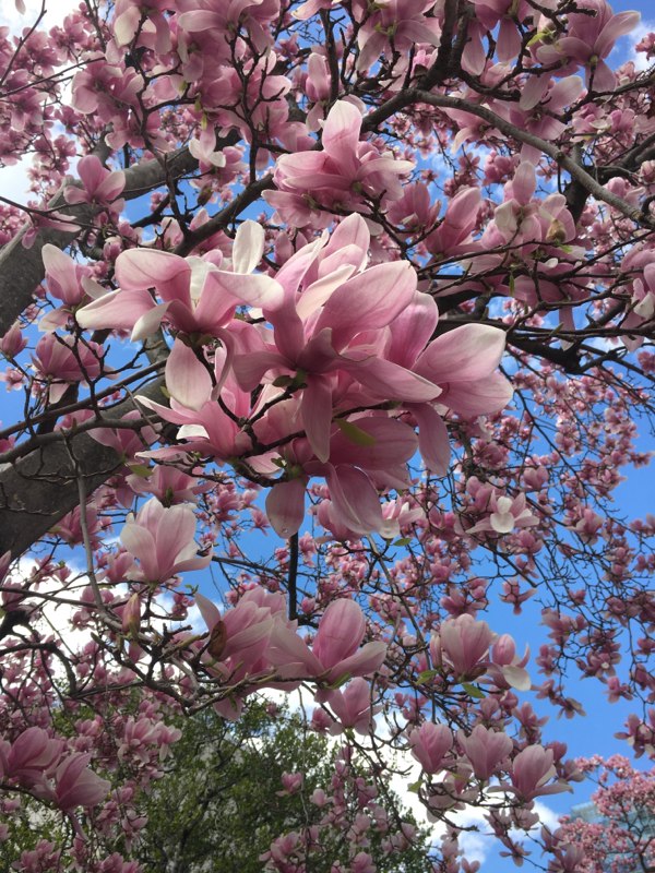 ㋪㋤㋸㋕イベント!#2