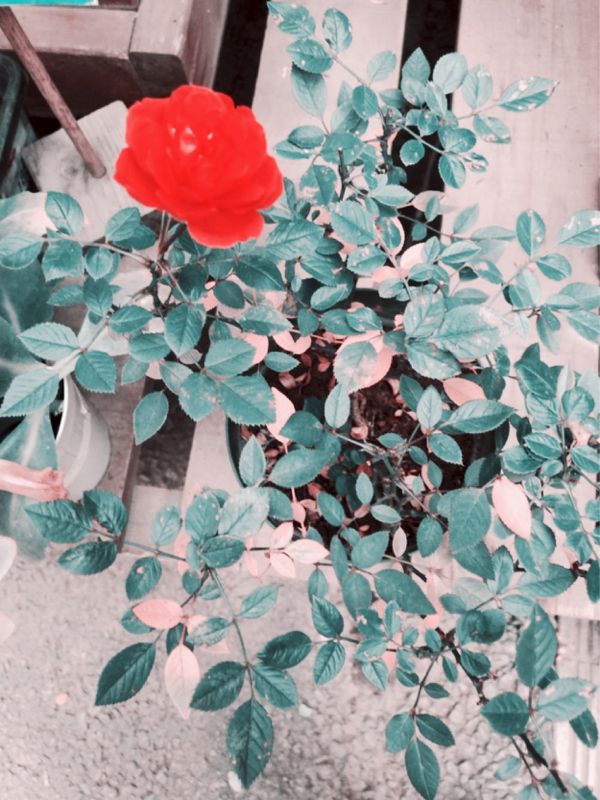 腐った原稿しながらなんか喋る