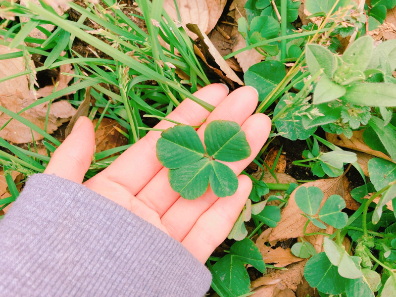 【第1回】自己紹介&この番組について