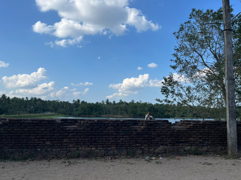 国際協力とか。