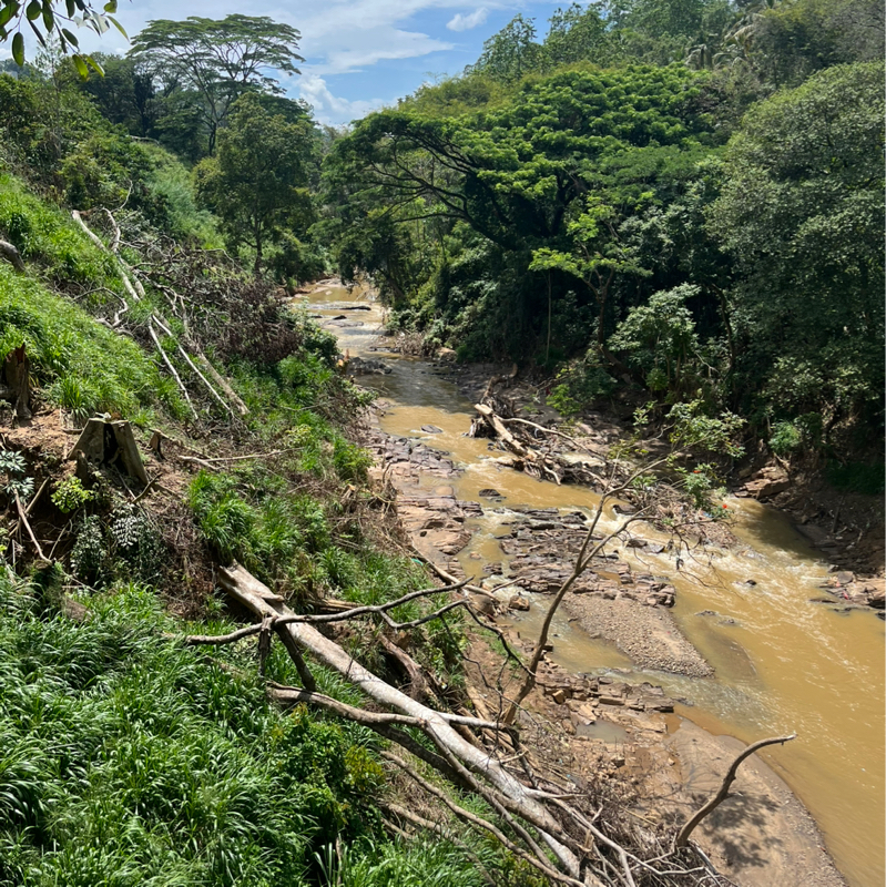 主にペラデニヤの話