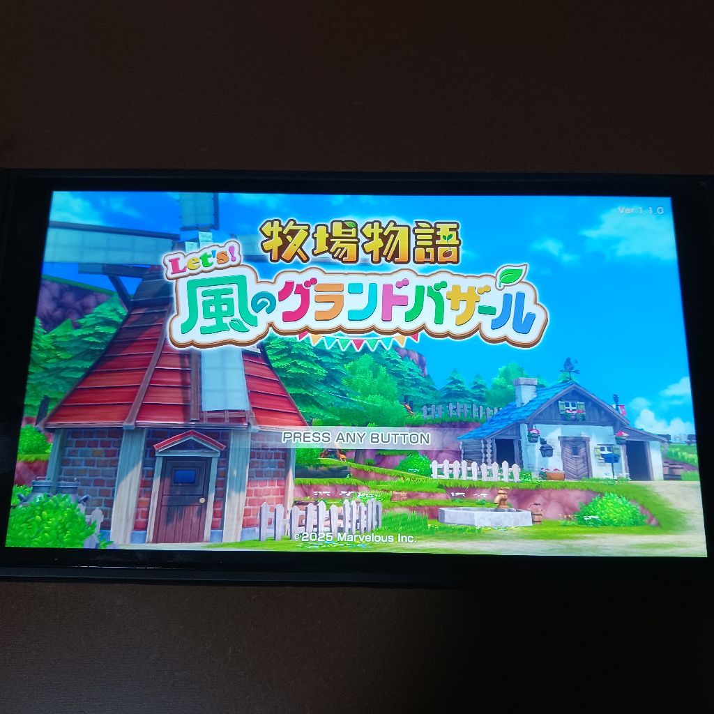 5.(その2)牧場物語風のグランドバザール