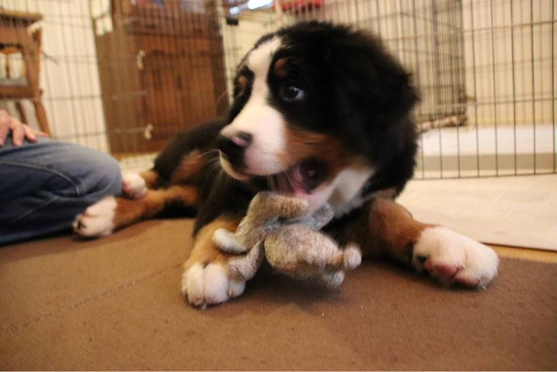 【最近読んだ本】手ぶらで生きる/しぶ、働き方⒈9/ヒロシ