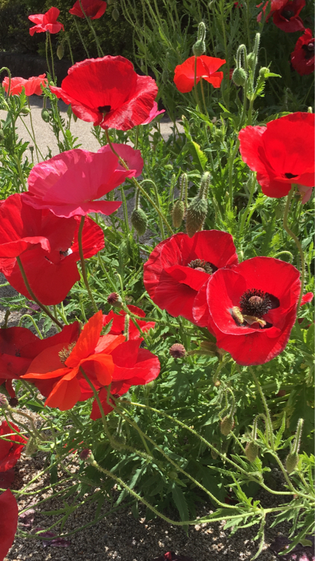 支離滅裂な発言