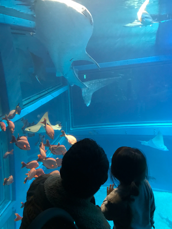 自己紹介と今日の出来事