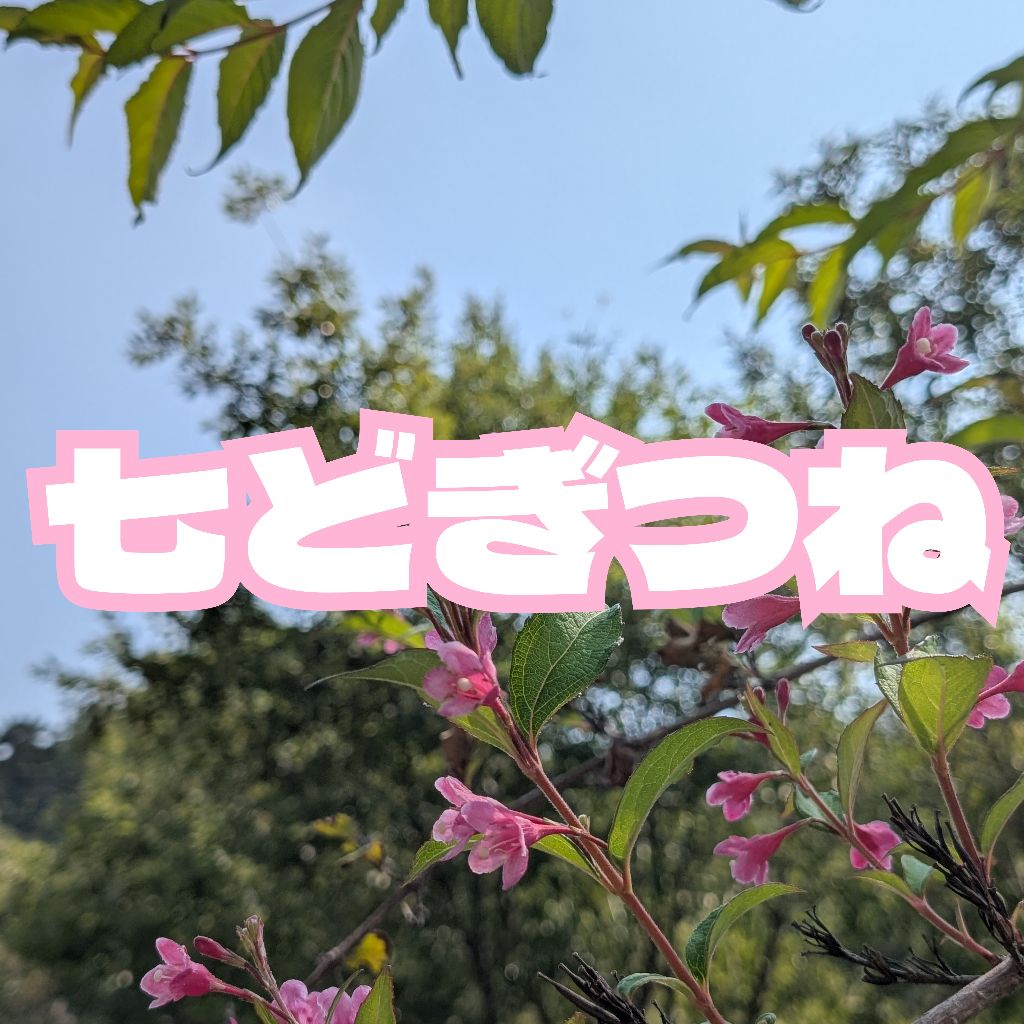 七どぎつね