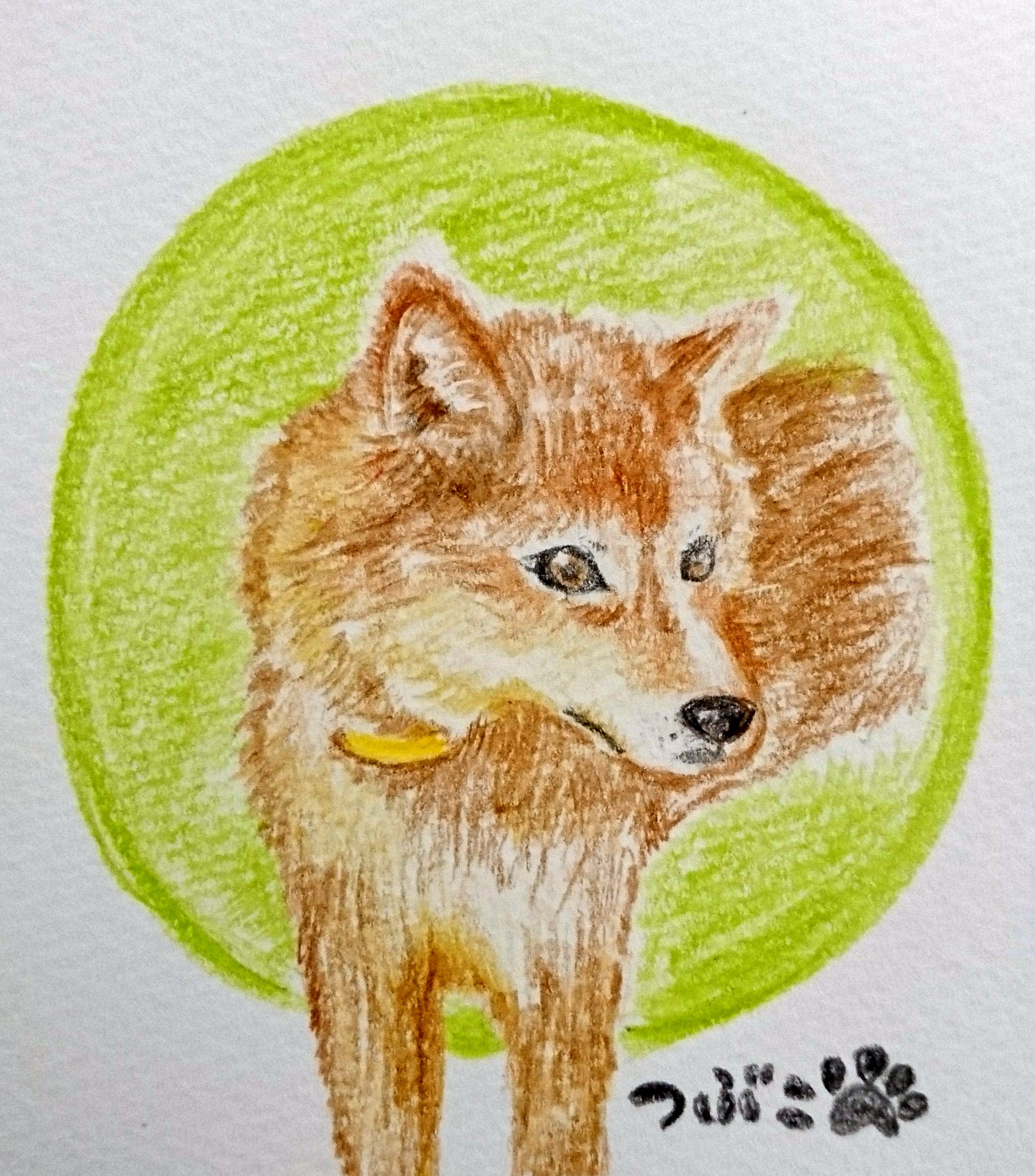 30：観光せずにお土産だけ買って帰った人