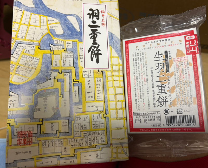 #540 田村さん地元の福井県に帰省したんちゅー🙌😆✨
