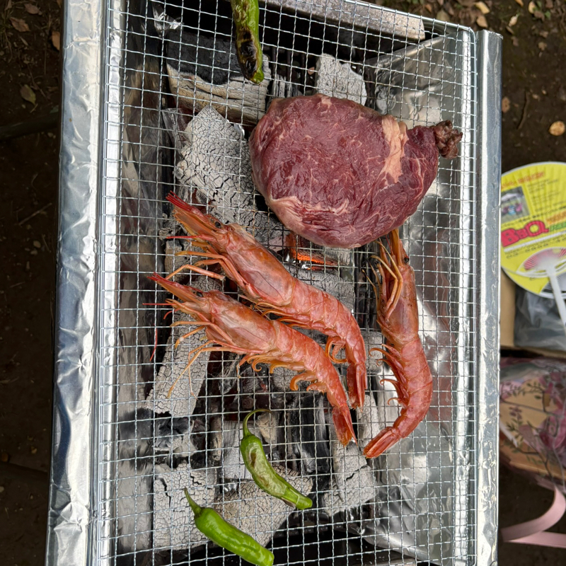 #577 おしゃれBBQに参加したんちゅ🙌😆✨