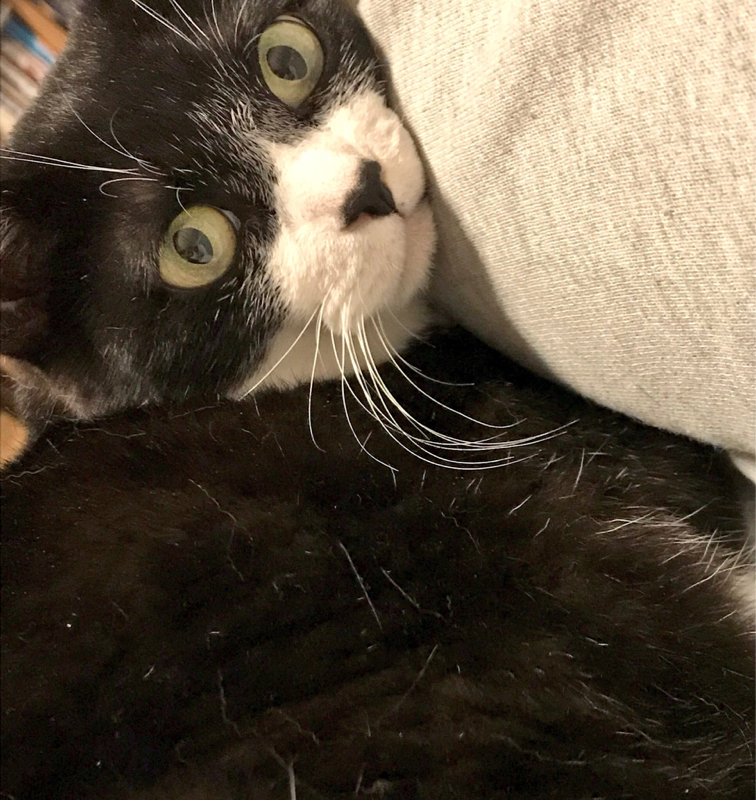 いざ 開幕東京の陣 感想