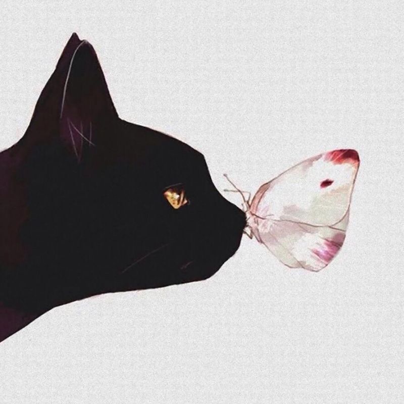 猫又のキキカジリ