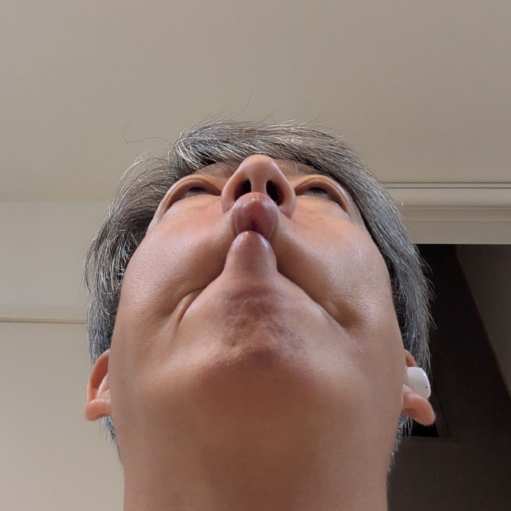 のら配信