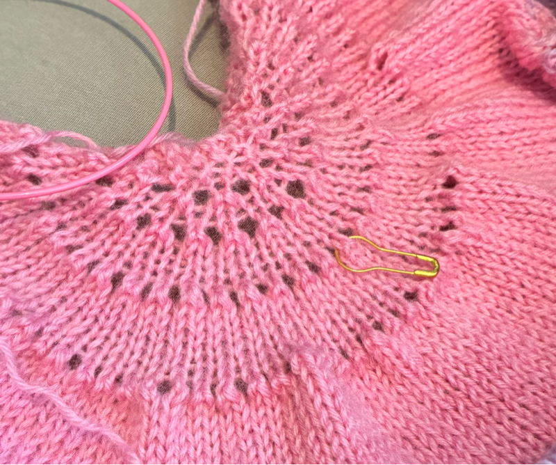 しあわせみっけ(2月1周目が終わりましたね)