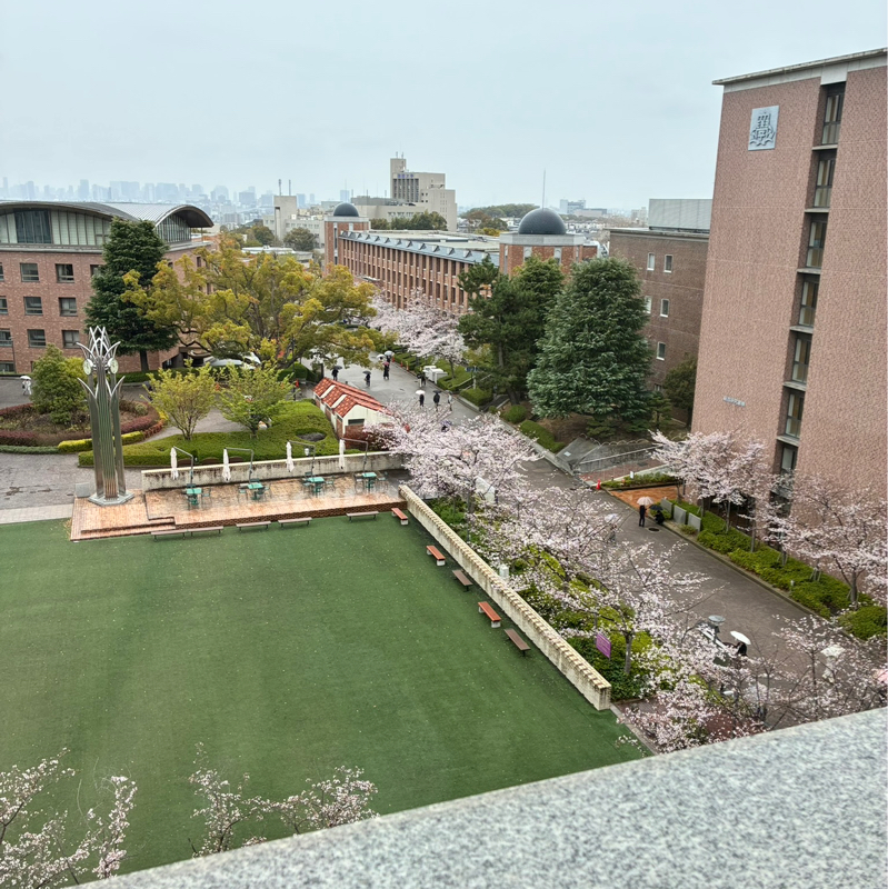 しあわせみっけ(1つ行事が終わりました🌸)