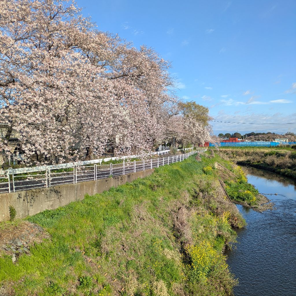 新年度ですね。