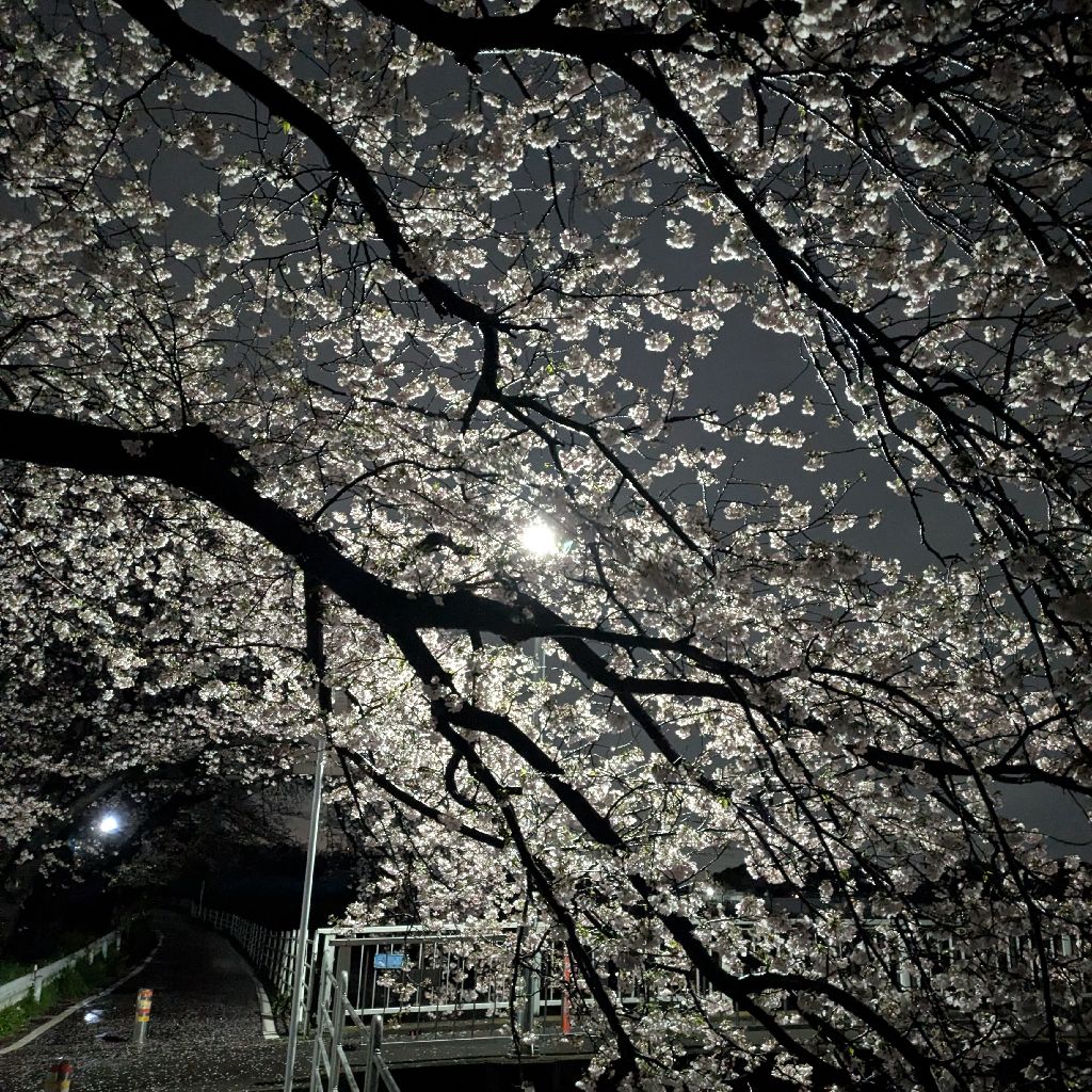 コーク派？ペプシ派？