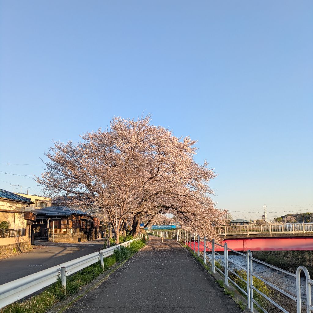 バイクは本当に好き。