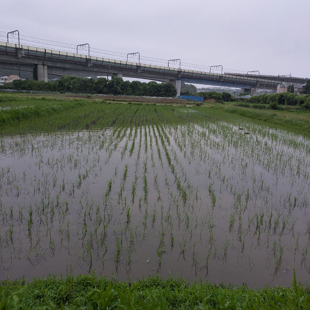 説明のウマイヘタ。