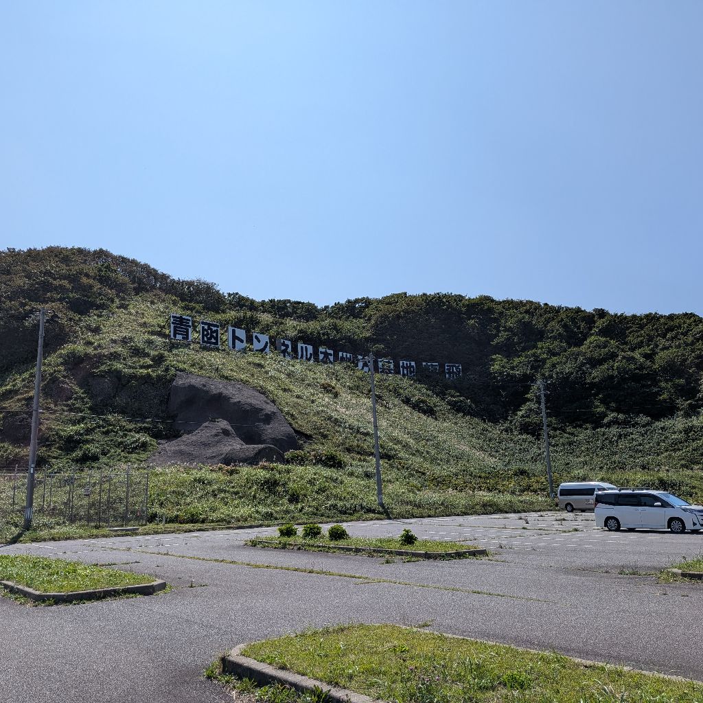 暇人のやること
