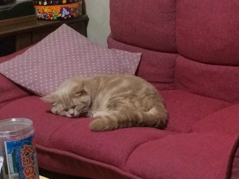 ここは、好きなコトのアウトプットクラブ