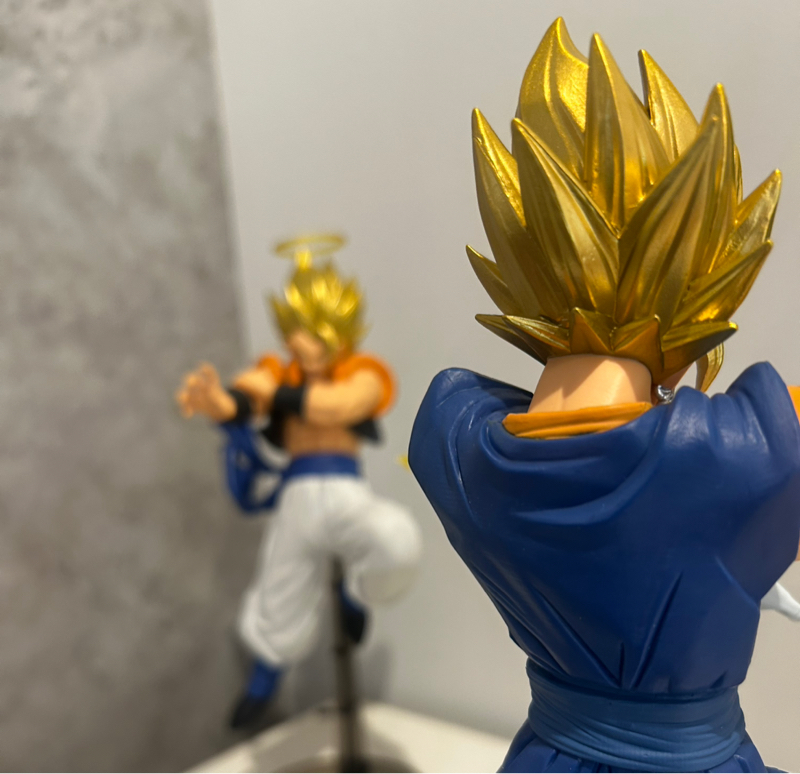 結局ベジータは何部なんだろ🤔(部活)